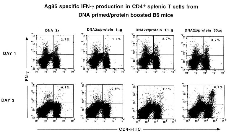 FIG. 1