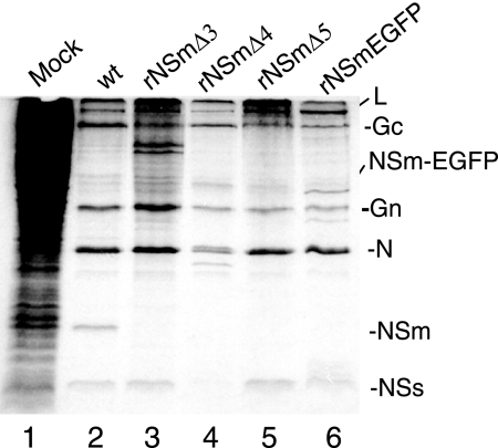 FIG. 5.