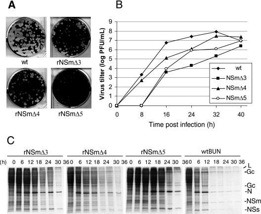 FIG. 6.