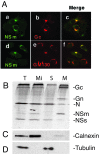 FIG. 2.