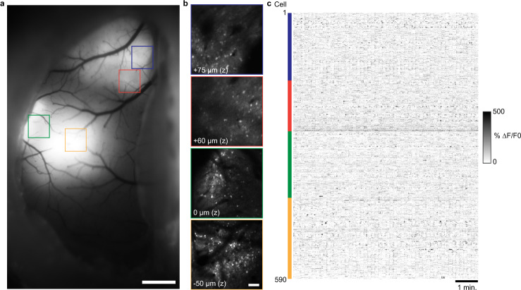 Fig. 2