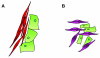 Fig. 4