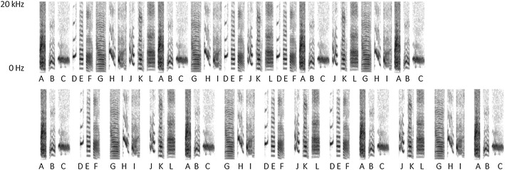 Fig. 1