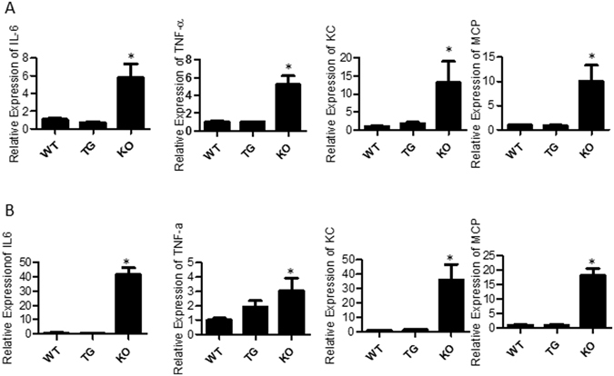 Figure 5