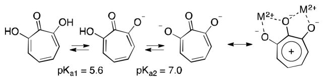 Scheme 3