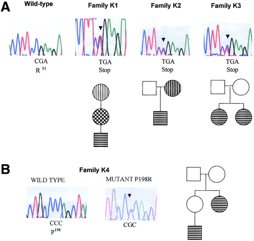 Figure  1