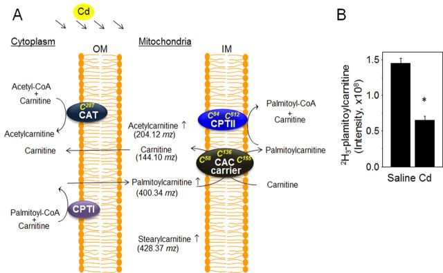 FIG. 8.