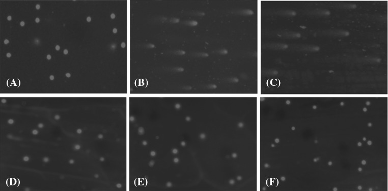 Fig. 7