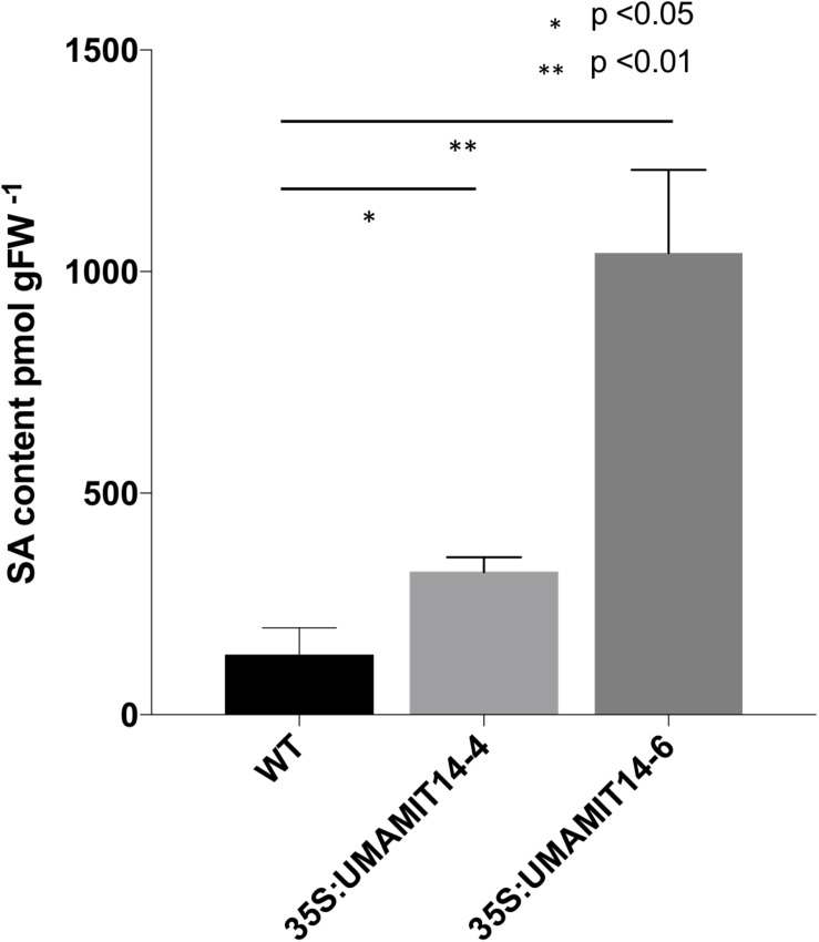 FIGURE 4