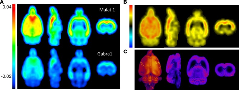 Figure 10