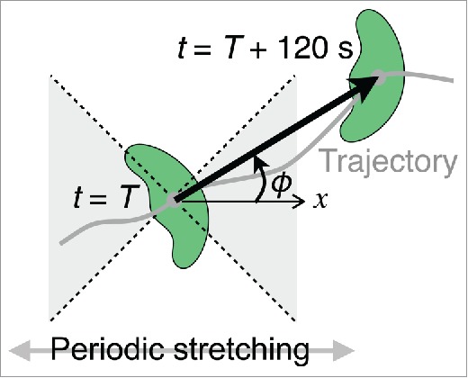 Figure 7.