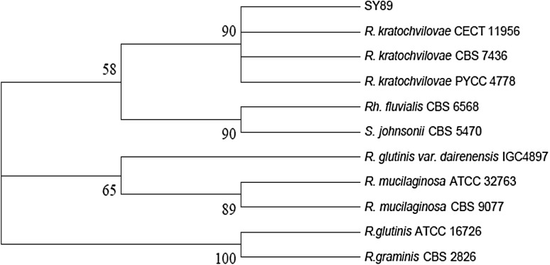 Fig. 2