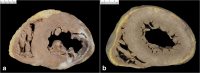 Fig. 8