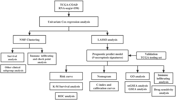 FIGURE 1