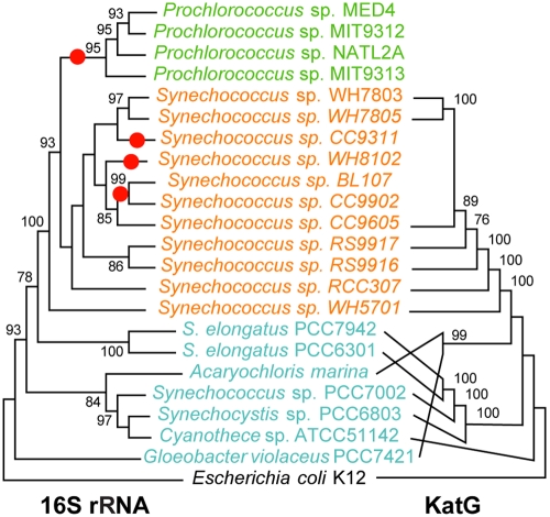 FIG 1 