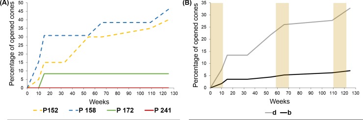 Fig 5