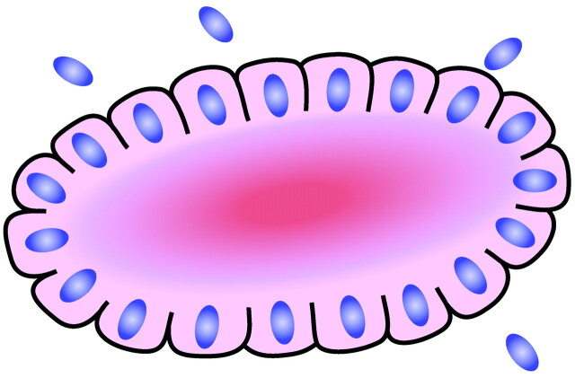 Fig 11.