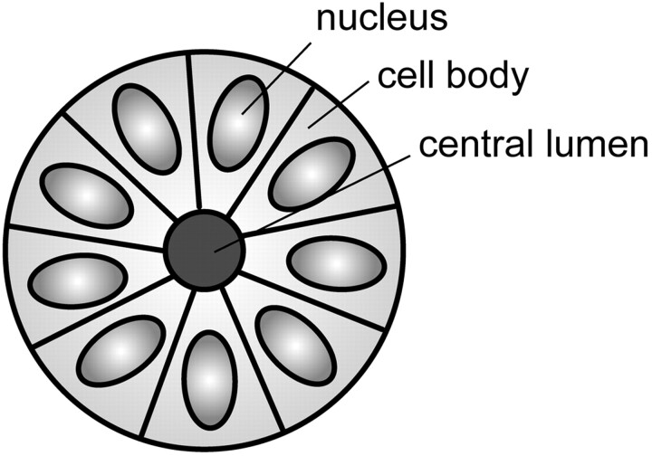 Fig 1.