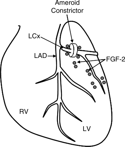 FIG. 1.