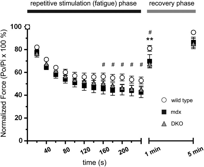 Figure 7.