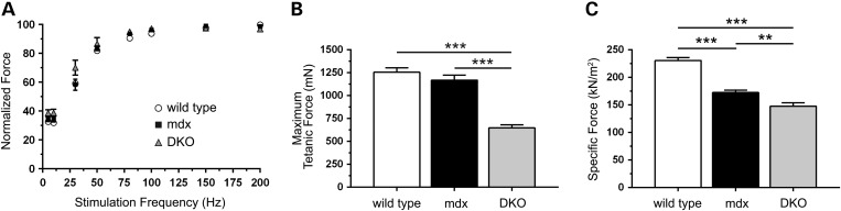 Figure 6.