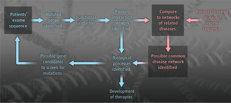 A global view of disease pathogenesis.