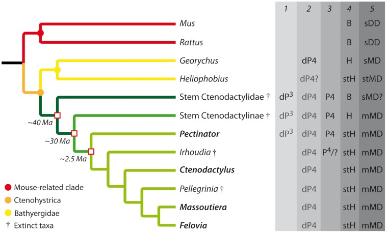 Figure 5