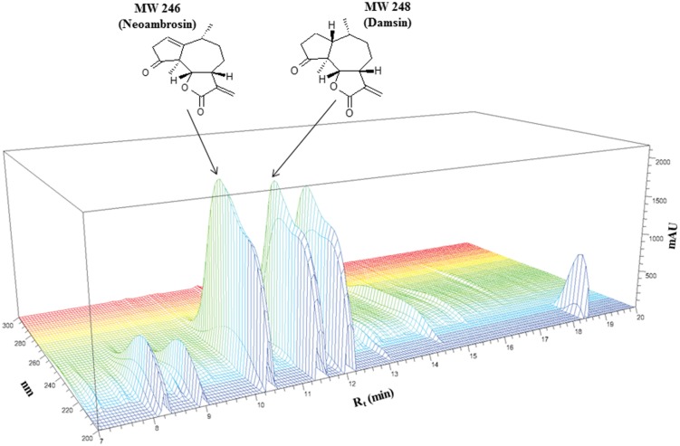 FIGURE 1