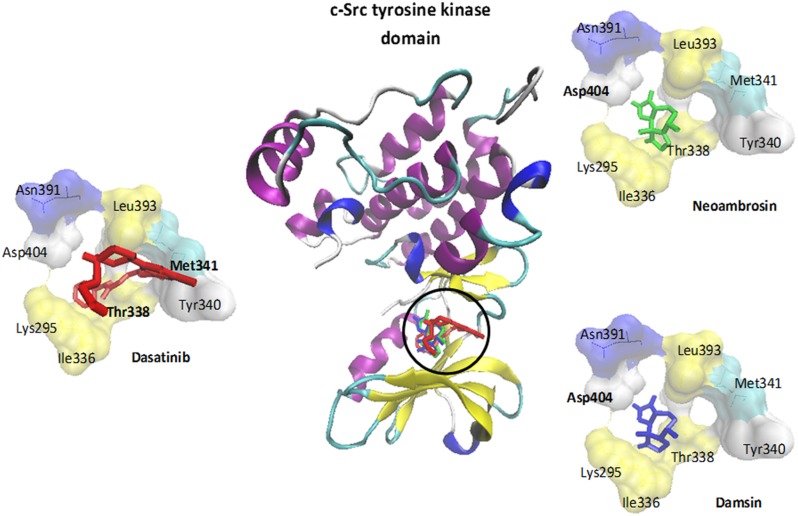 FIGURE 4