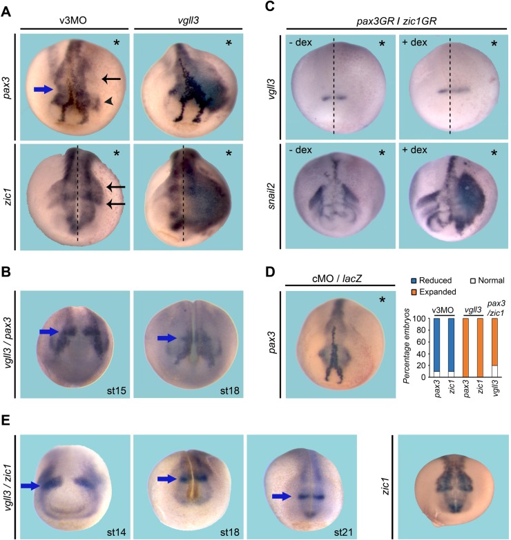 Fig. 3.