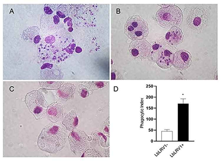 Fig 1