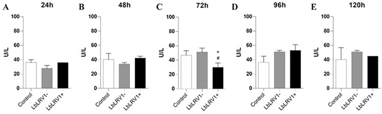 Fig 10