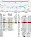 Extended Data Fig. 5