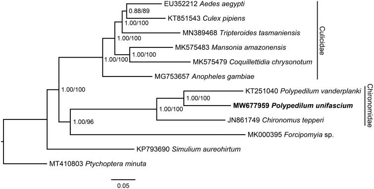 Figure 1.