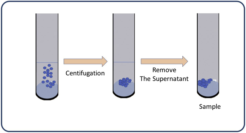 Figure 3