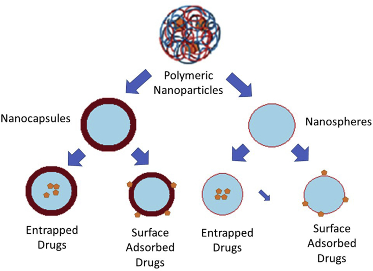 Figure 7