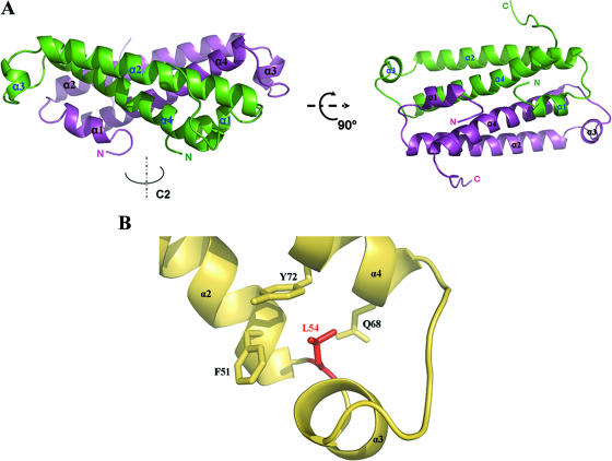 FIG.3.