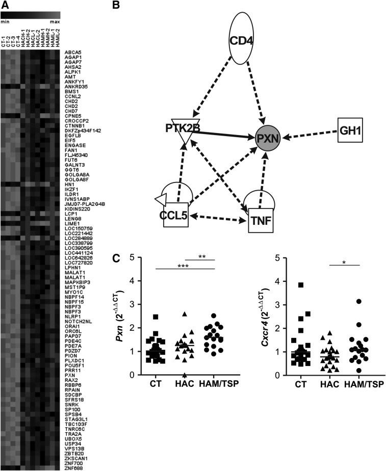 FIG. 3.