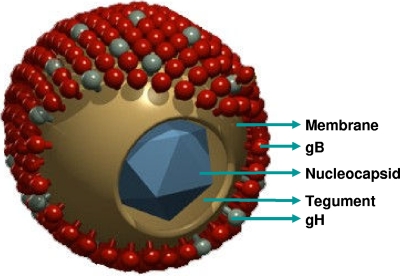 FIG. 2.