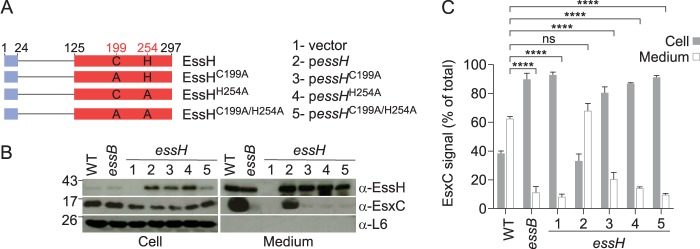 FIG 6