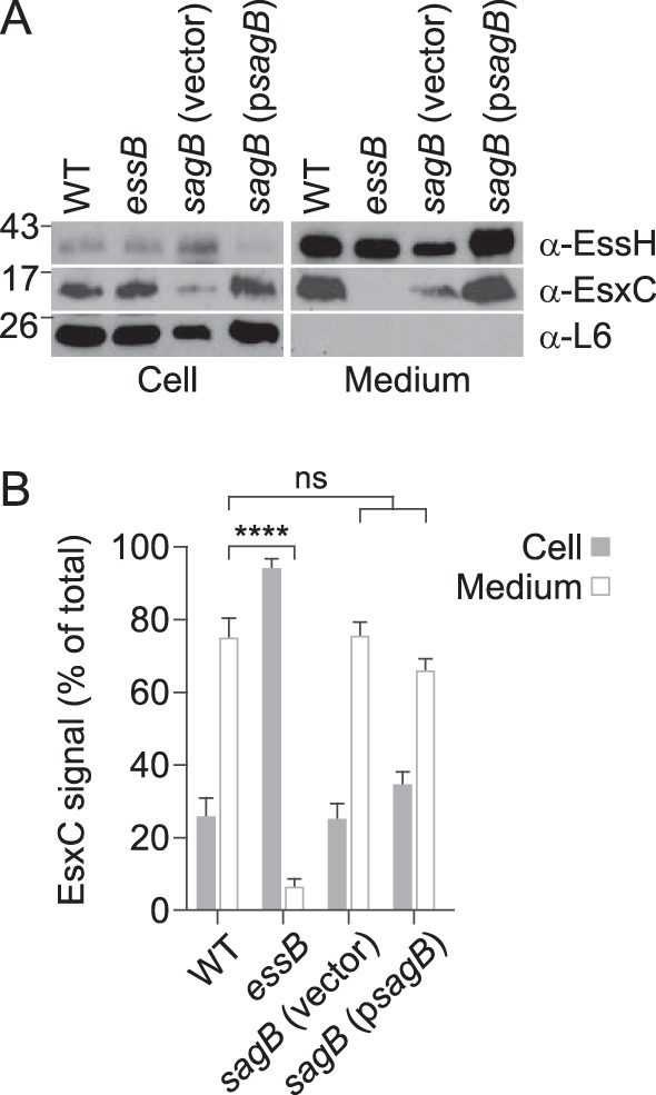 FIG 8