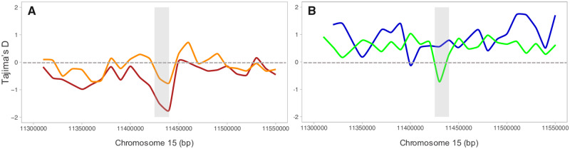 Fig. 7.