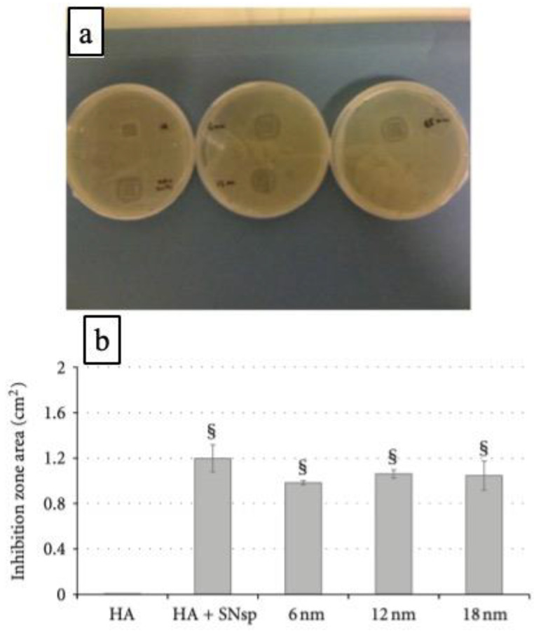 Figure 10