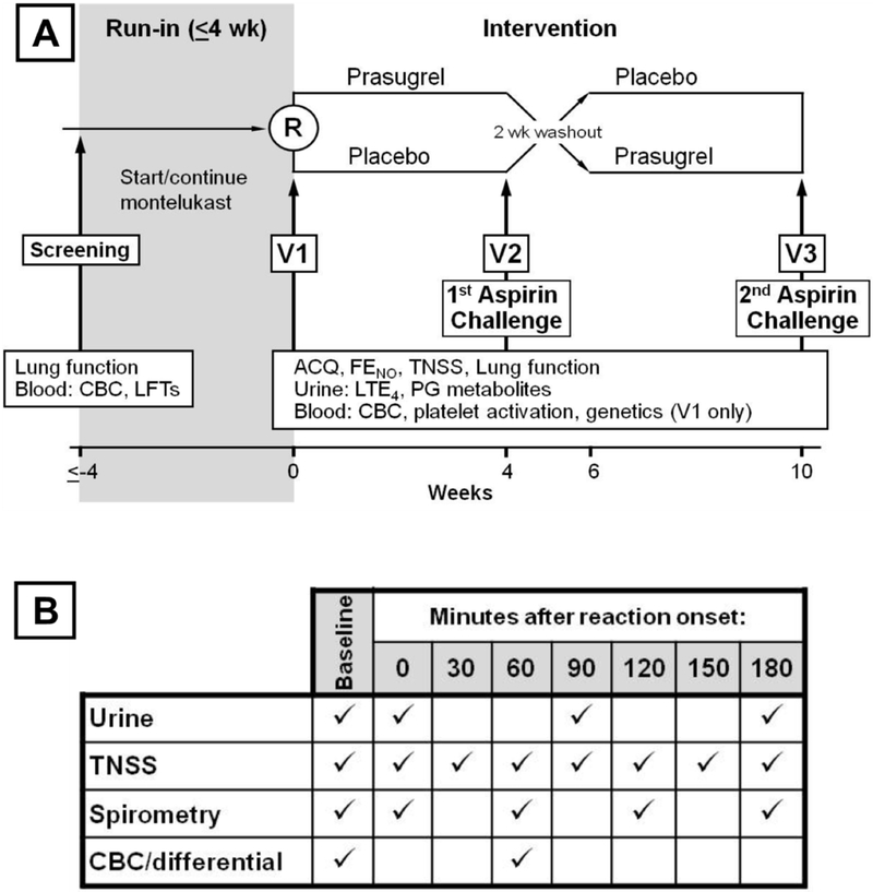 FIG 1.