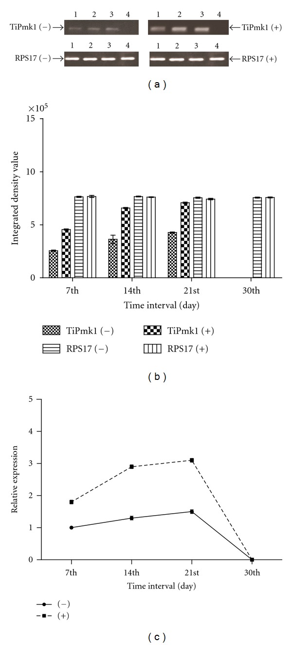 Figure 4