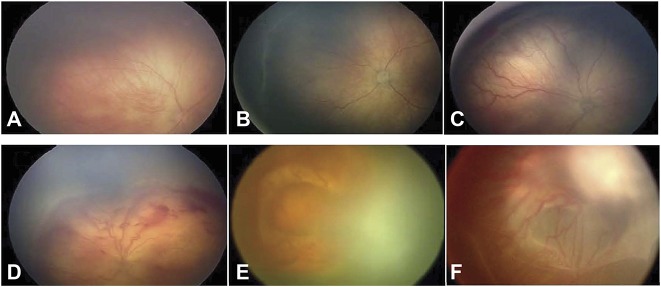 Fig. 2.