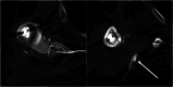 Figure 5