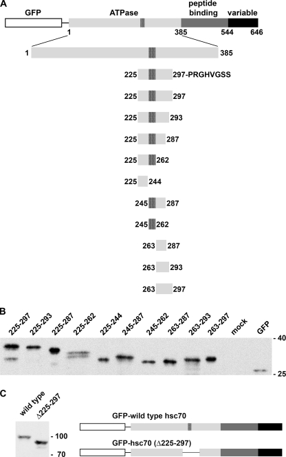 FIGURE 2.