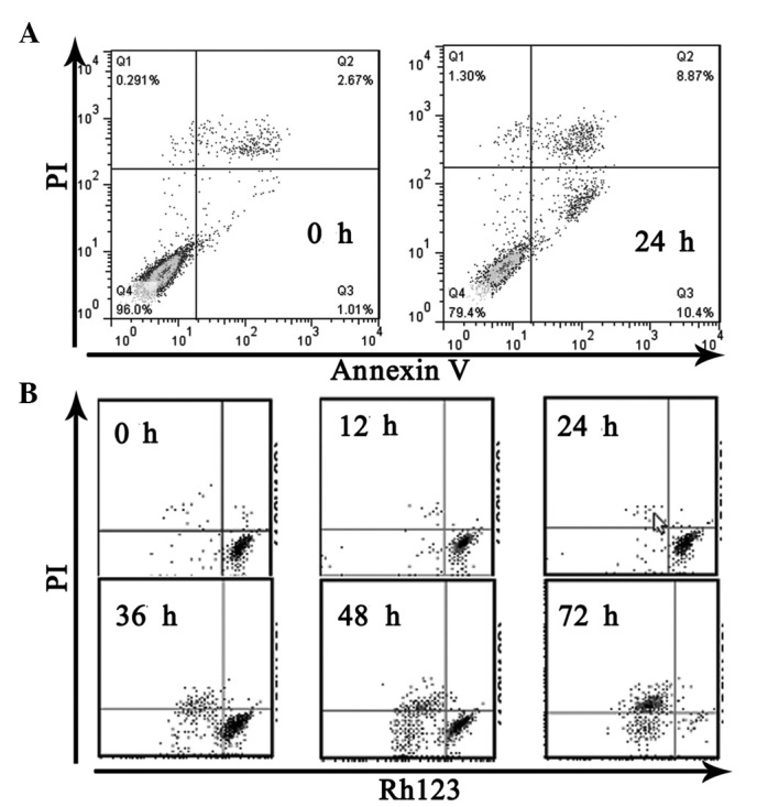 Figure 2.