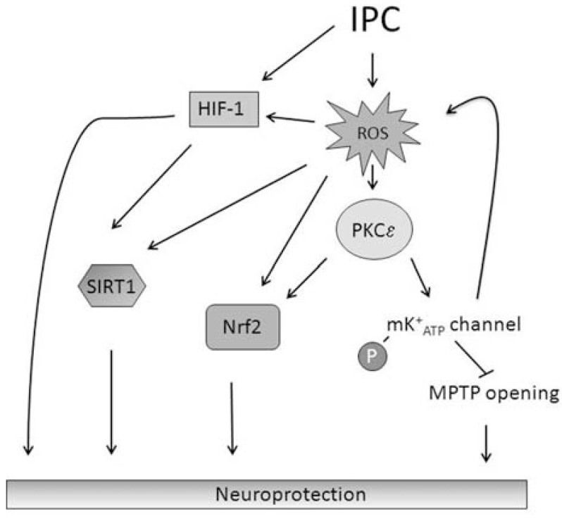 Fig. (3)